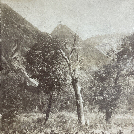 Antique 1870s Yosemite Park California Stereoview Photo Card P4781