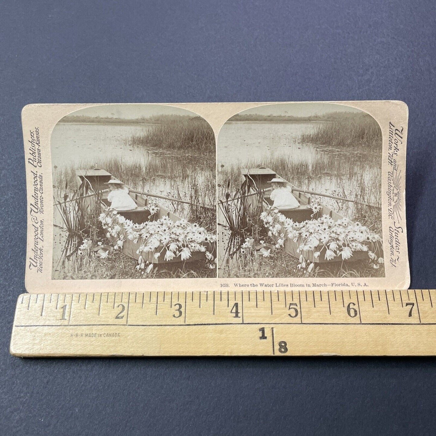 Antique 1899 Rowboat In The Florida Everglades Stereoview Photo Card V3244