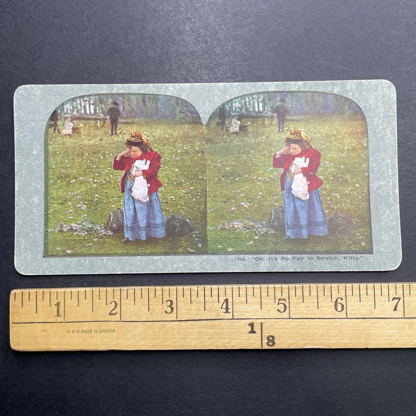 Antique 1892 Cat Scratches Child's Face Stereoview Photo Card P1222