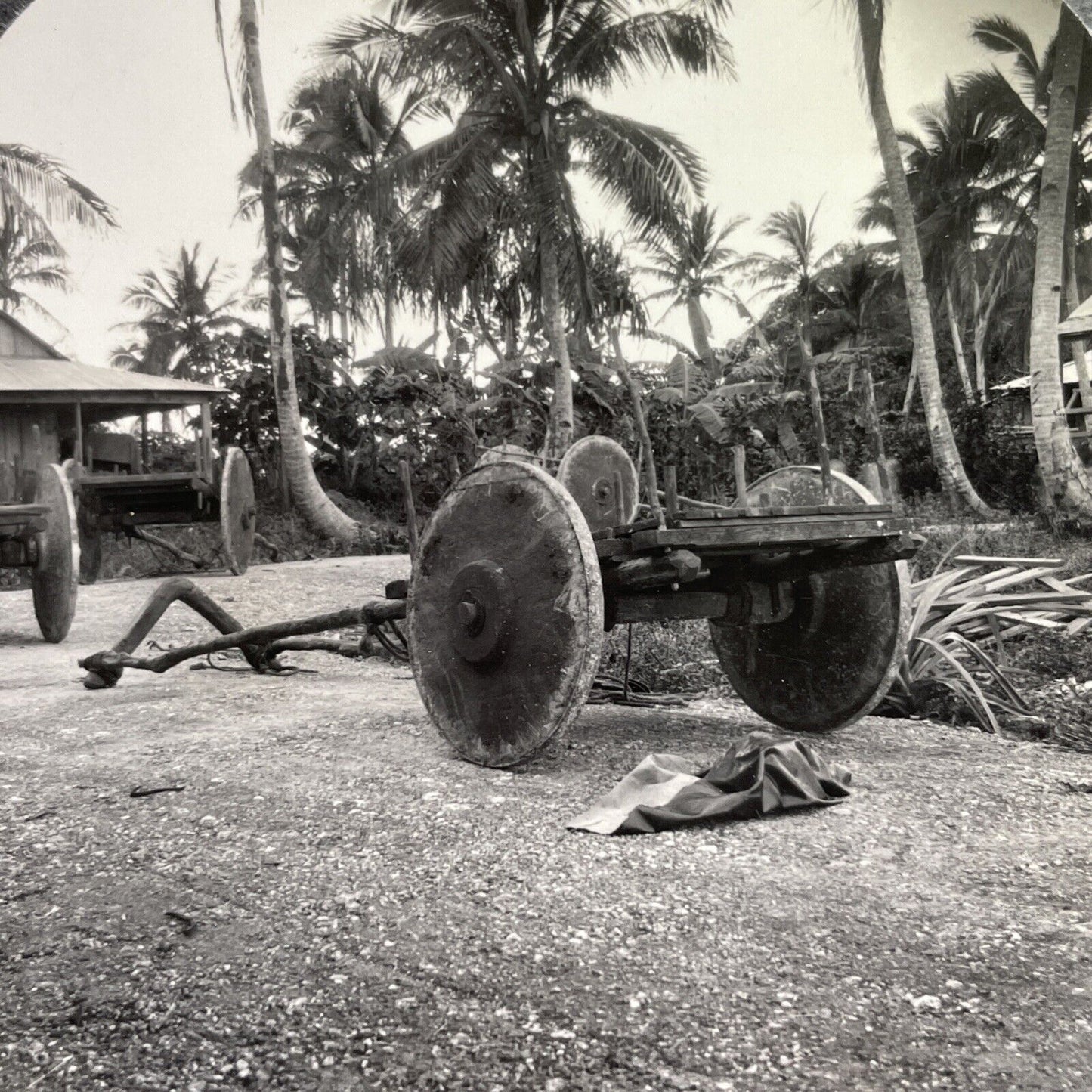 Antique 1920s Buffalo Carts In Storage Guam Stereoview Photo Card P1634