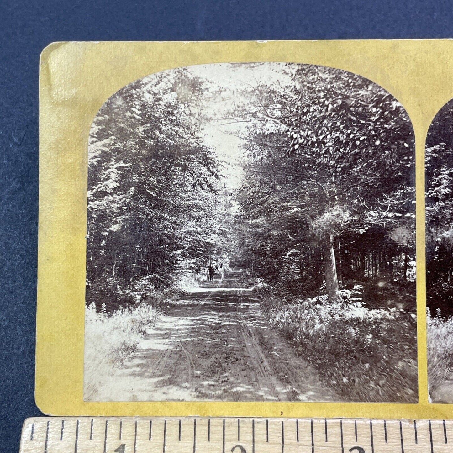 Antique 1870s The Dinsmoor Woods Keene New Hampshire Stereoview Photo Card V2084