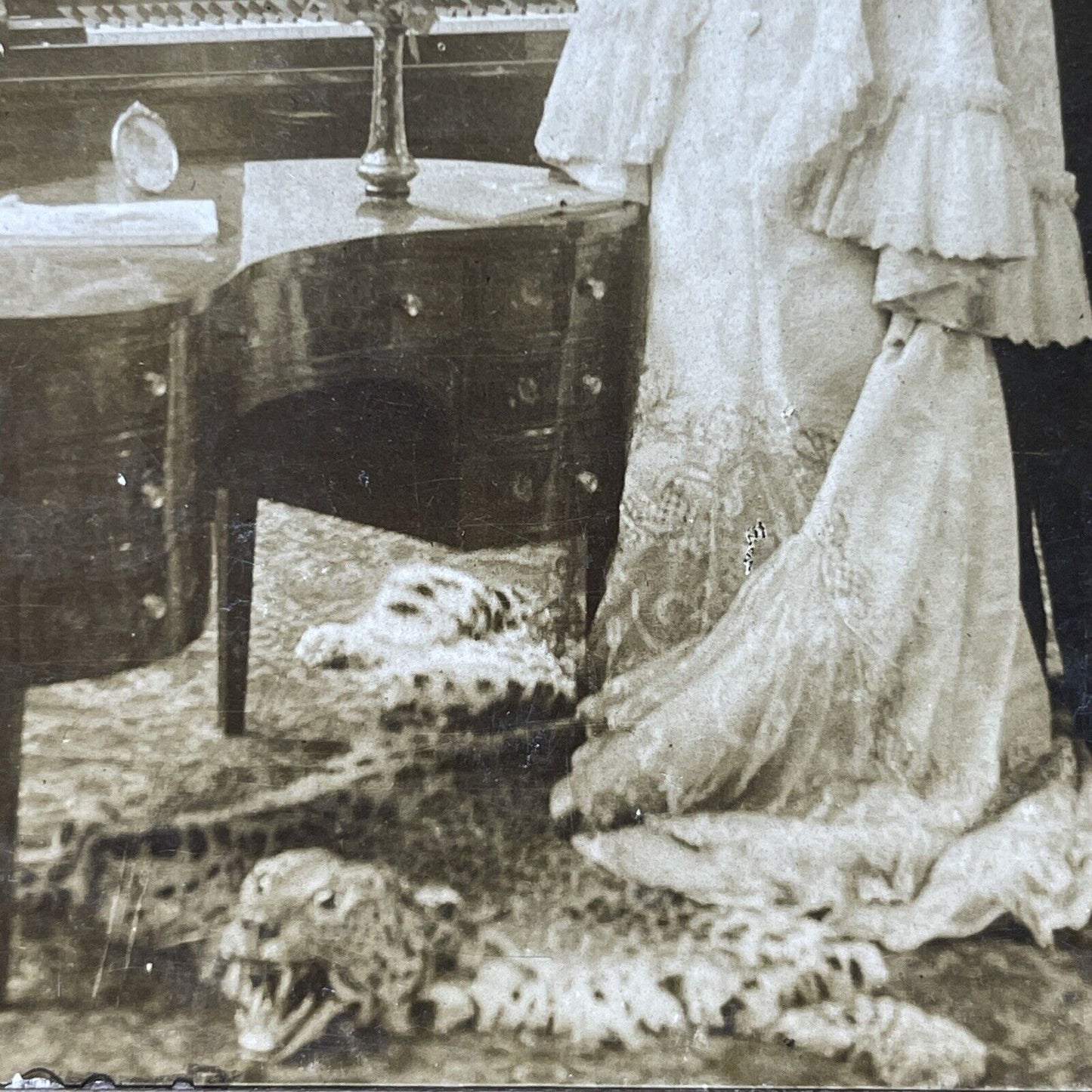 Antique 1901 Roaring Cheetah Skin Rug In Parlor Stereoview Photo Card P2581