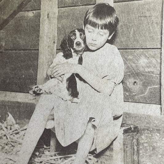 Antique 1870s Poor Girl With Cocker Spaniel Puppy Stereoview Photo Card P1021