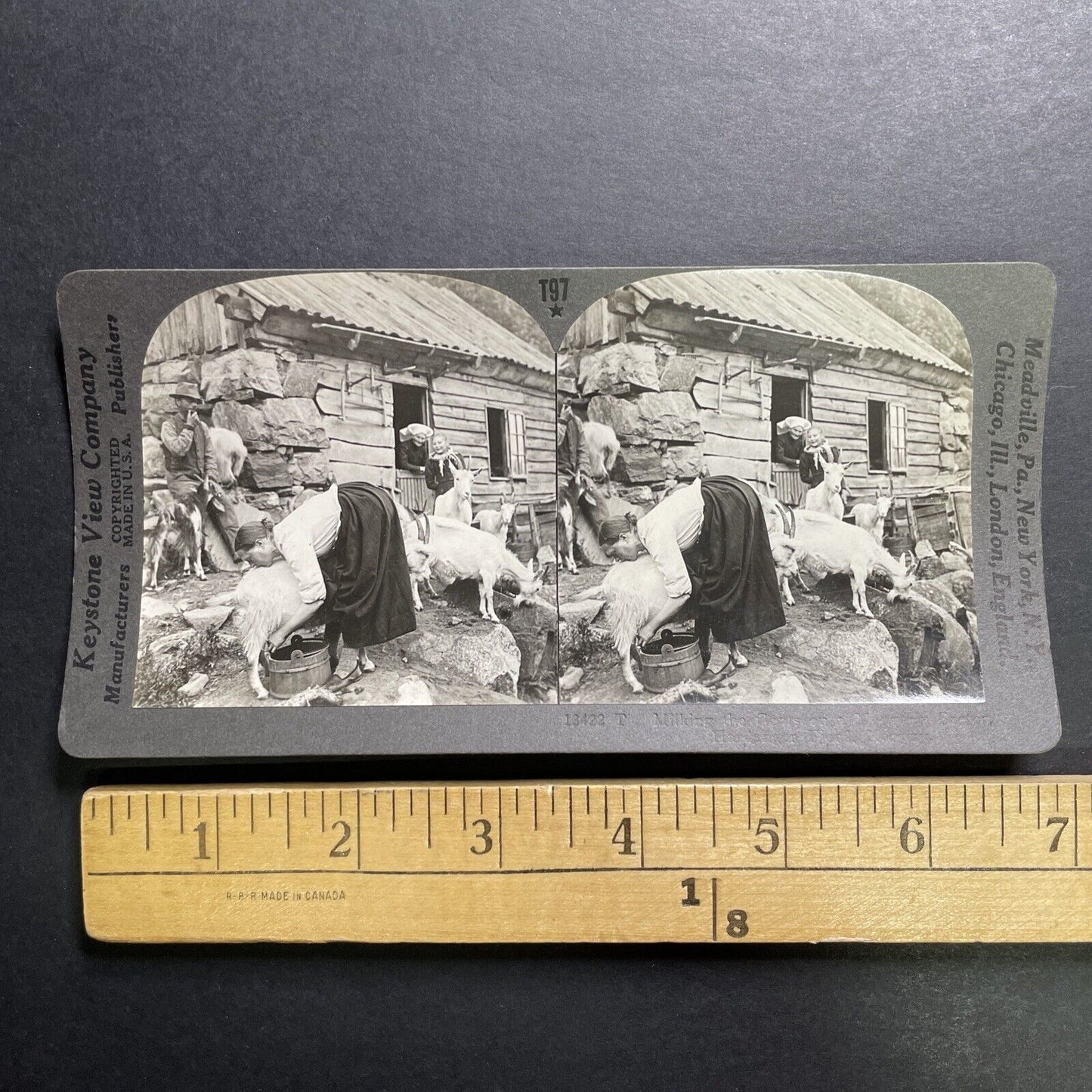 Antique 1918 Milking Goats In Hardanger Norway Stereoview Photo Card P1359