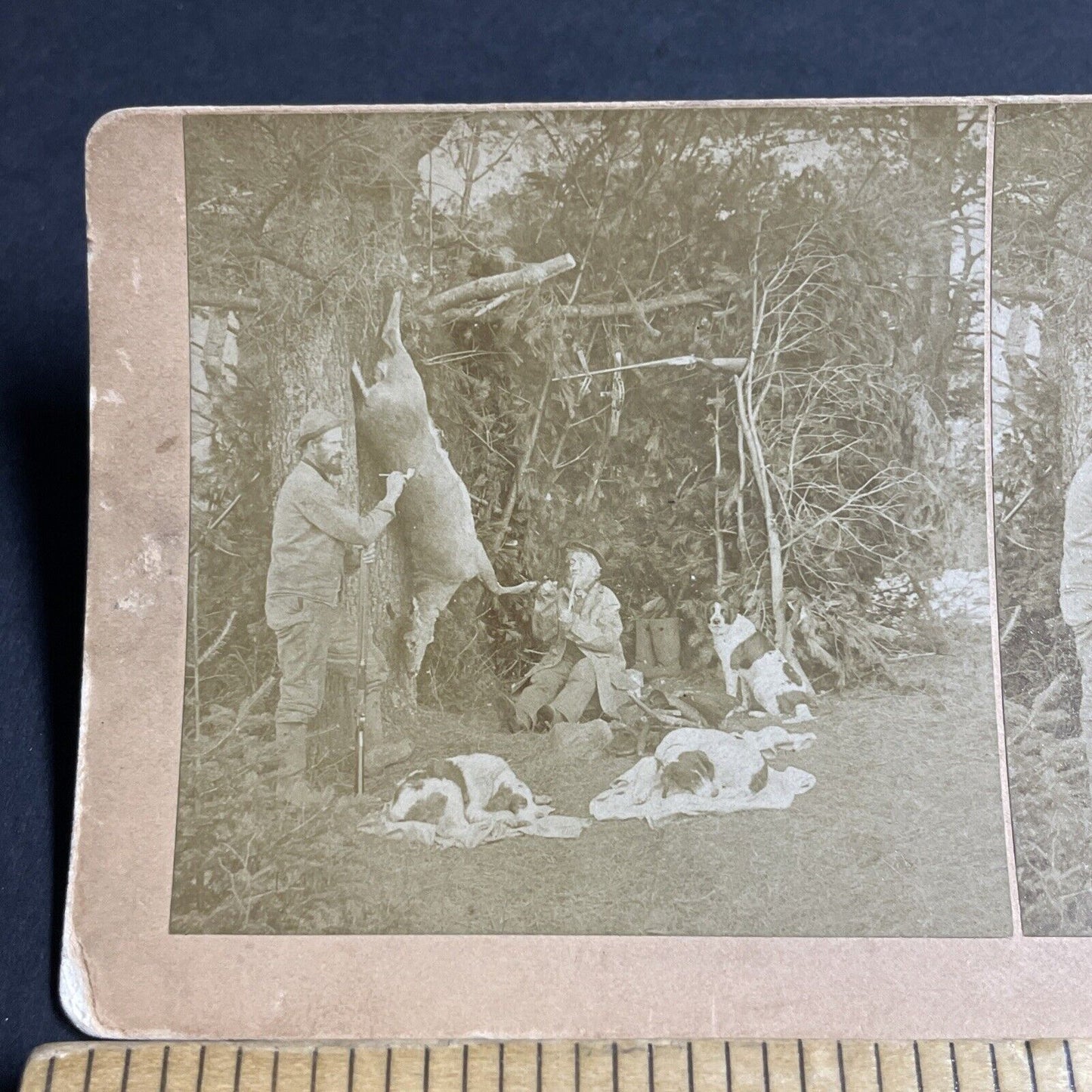 Antique 1889 Benjamin Kilburn Shoots A Deer Stereoview Photo Card P4707