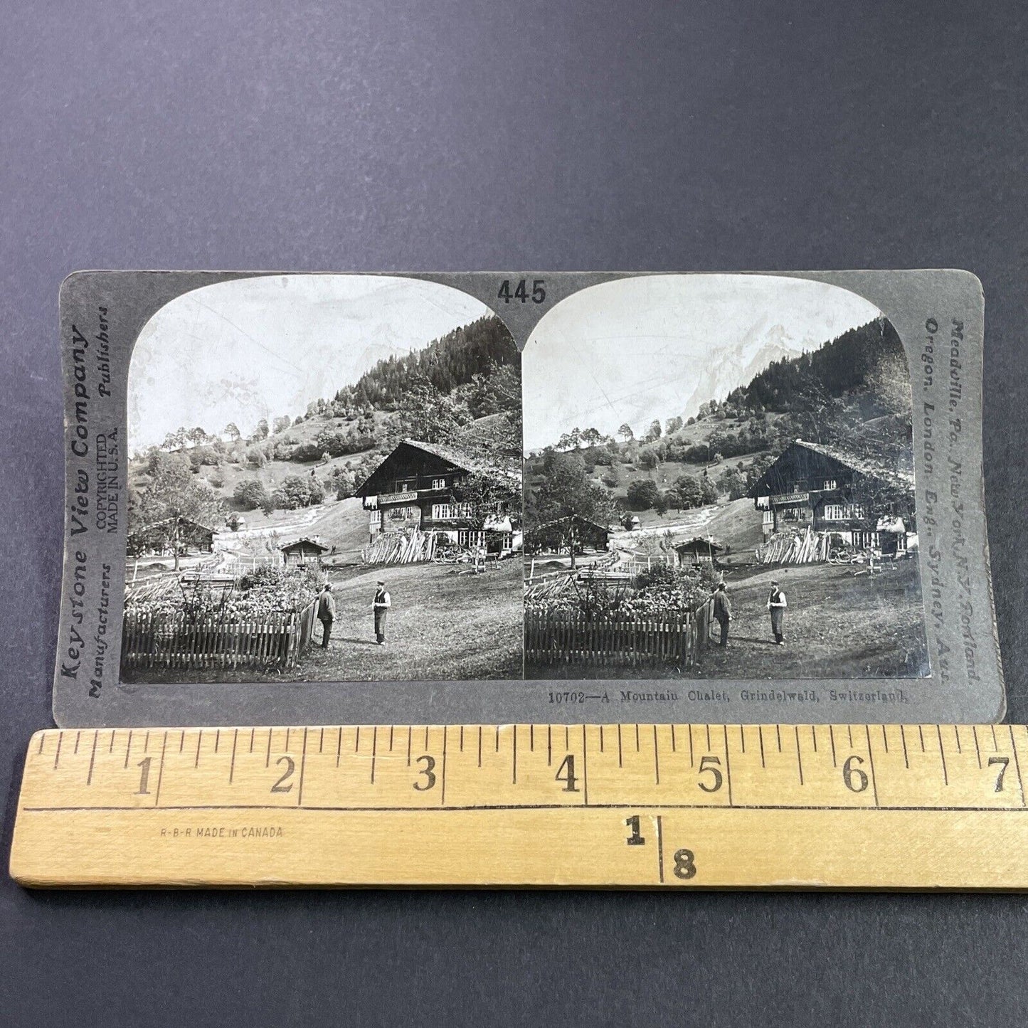 Antique 1910s Grindelwald Village Switzerland Swiss Stereoview Photo Card P3751
