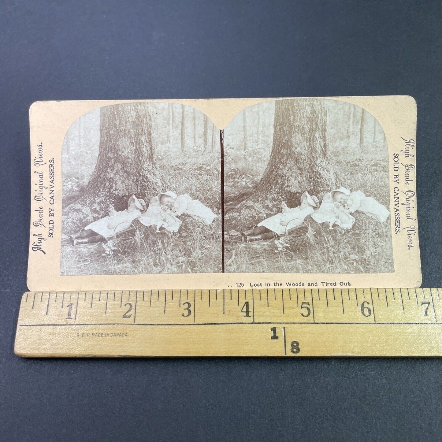 Antique 1890s Babies & Children Fall Asleep In Woods Stereoview Photo Card P3349