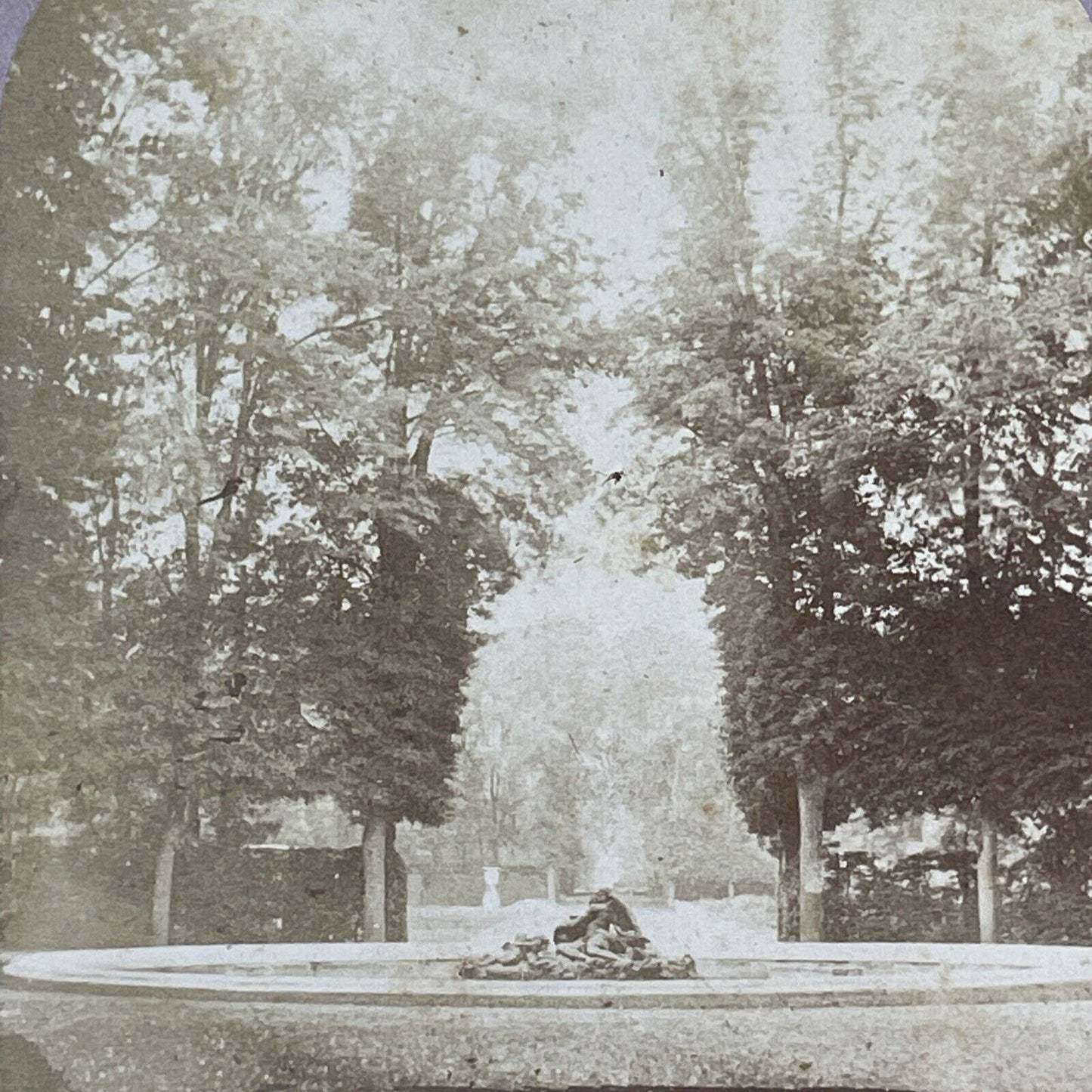 The Gardens of Versailles Entrance in France Stereoview Antique c1855 Y1121