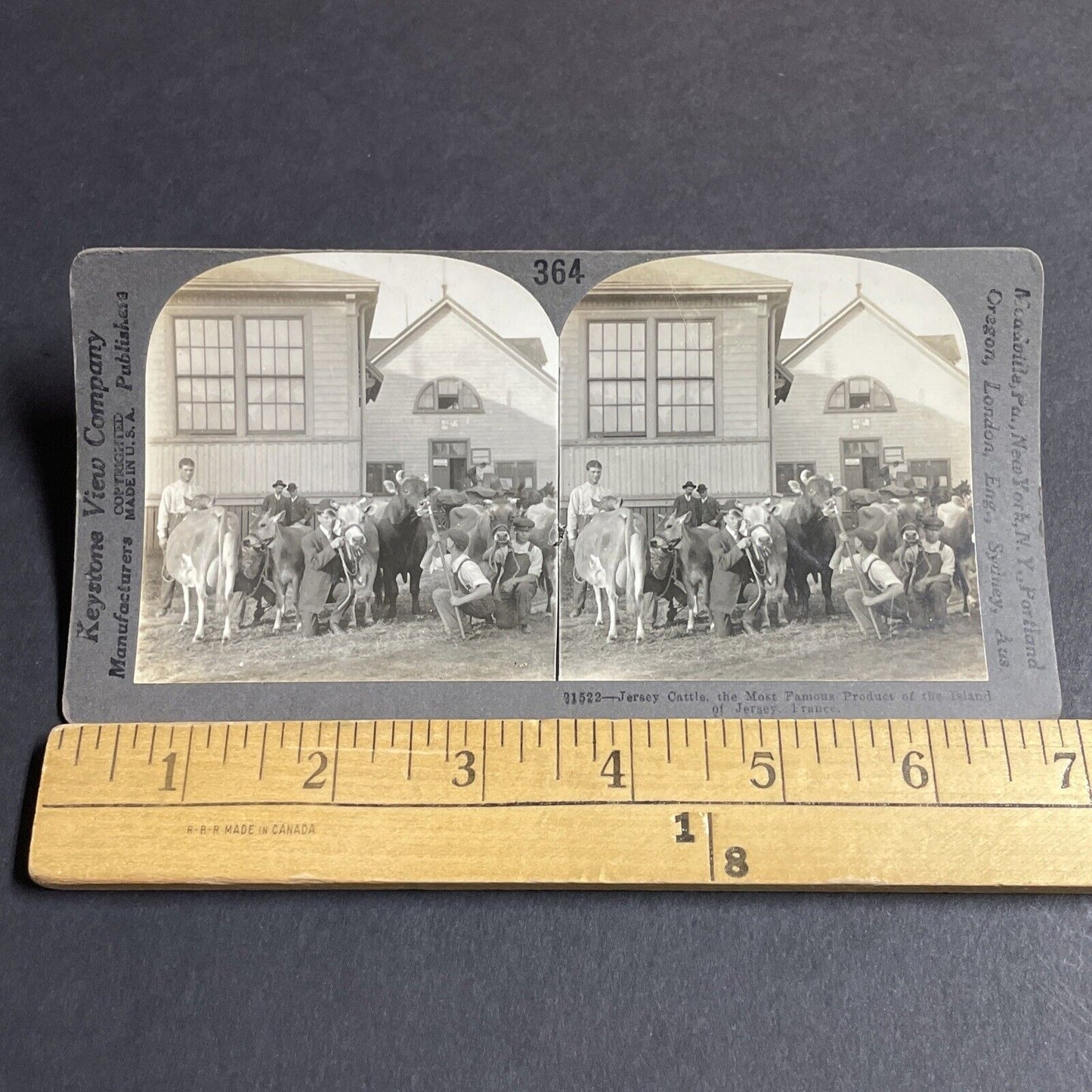 Antique 1910s CNE Fair Grounds Toronto Canada Stereoview Photo Card P4211