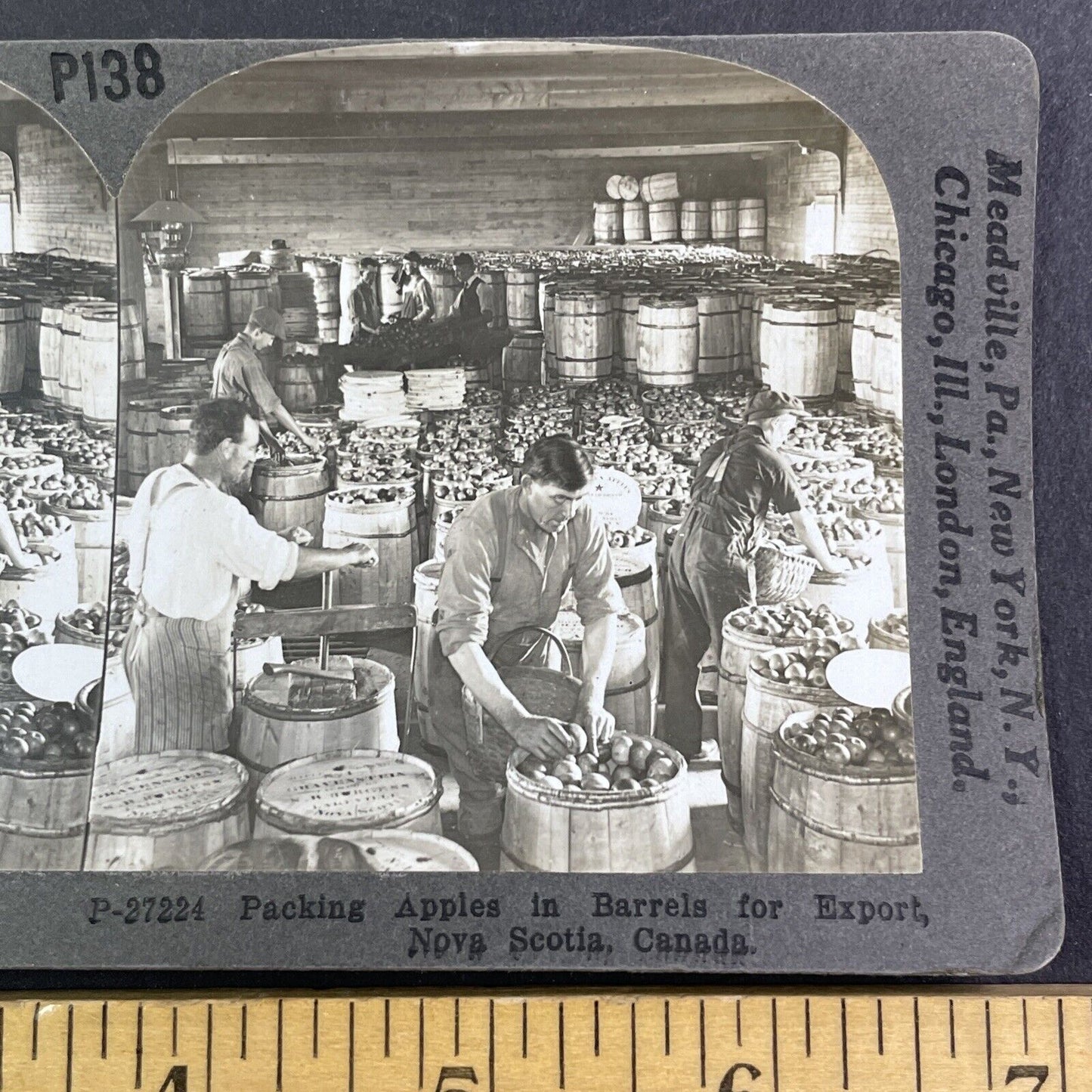 Apple Packing in Nova Scotia Canada Stereoview Antique c1905 Y2568