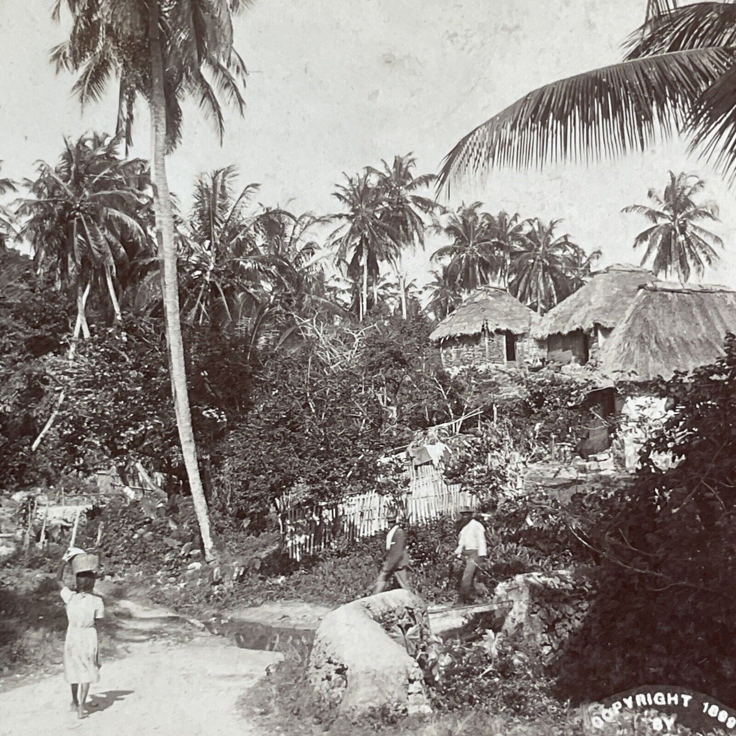 Port Antonio Jamaica Village Stereoview CH Graves Antique c1899 X3228