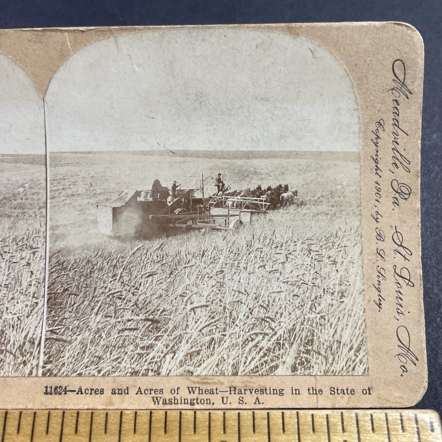 Antique 1901 Horse Drawn Amish Hay Harvest Stereoview Photo Card P856-08