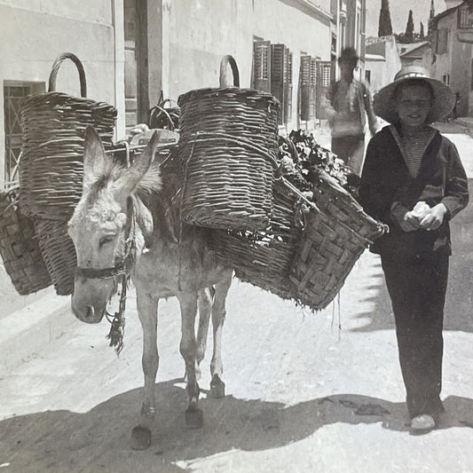 Antique 1895 Boy Selling Fruits Granada Spain Stereoview Photo Card P2125