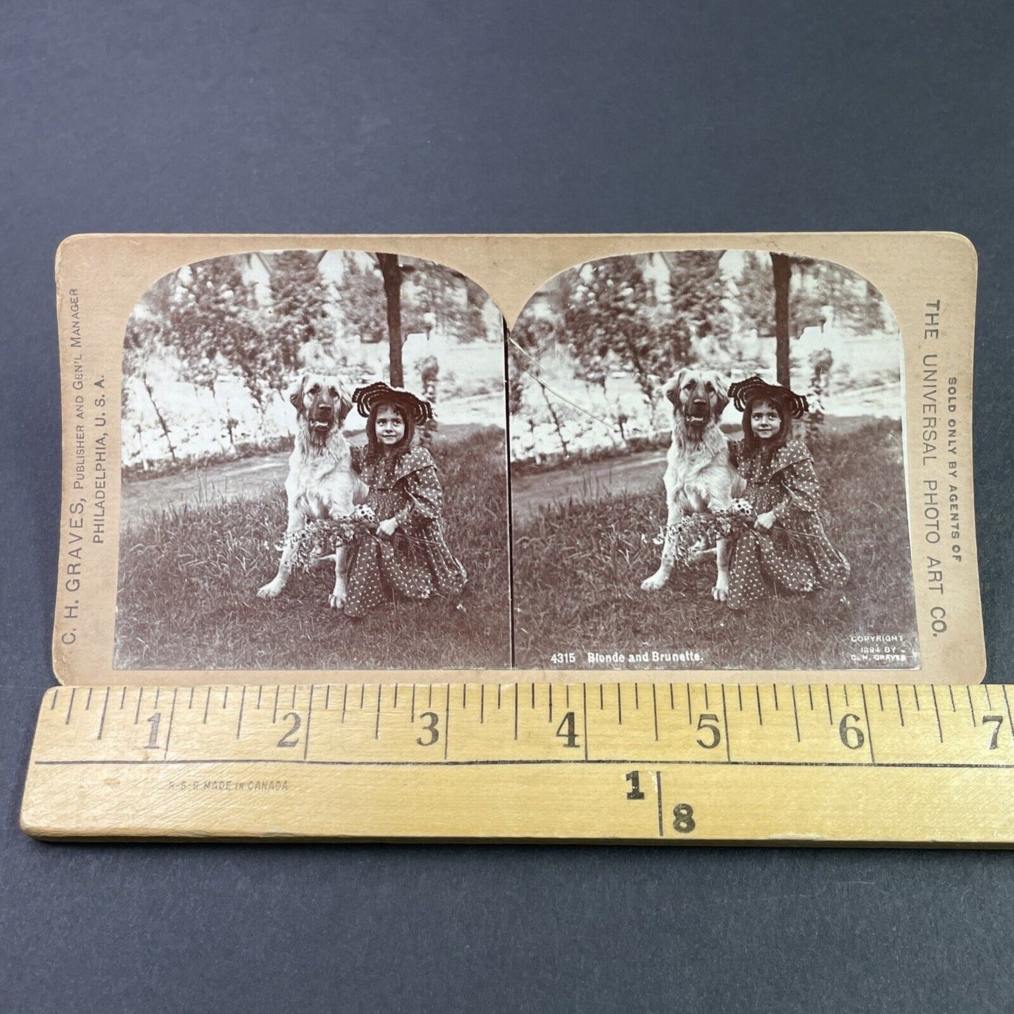 Antique 1894 Girl With Golden Retriever Mix Dog  Stereoview Photo Card P3365