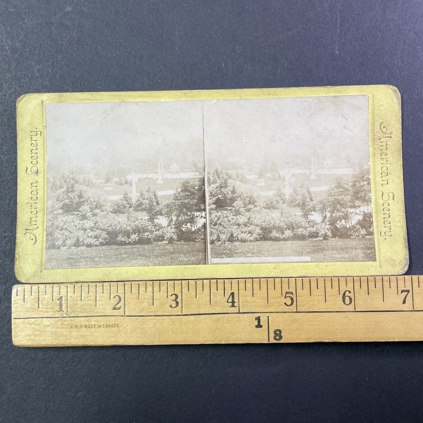 Spring Grove Cemetery? Cleveland Stereoview Photo Card Antique c1875 X1267