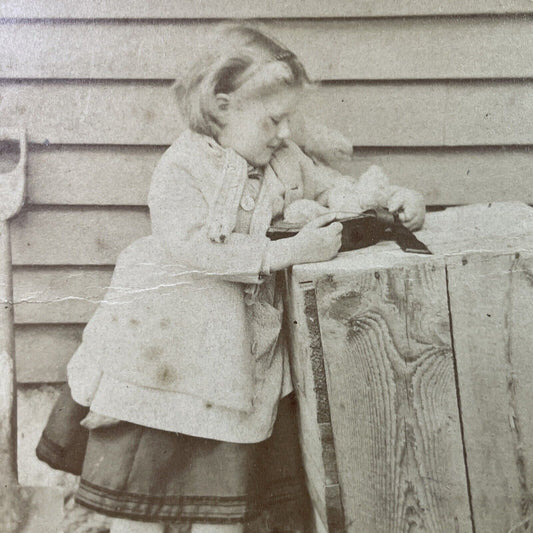 Antique 1880s Young Girl Saves Small Chicks Chickens Stereoview Photo Card P3341