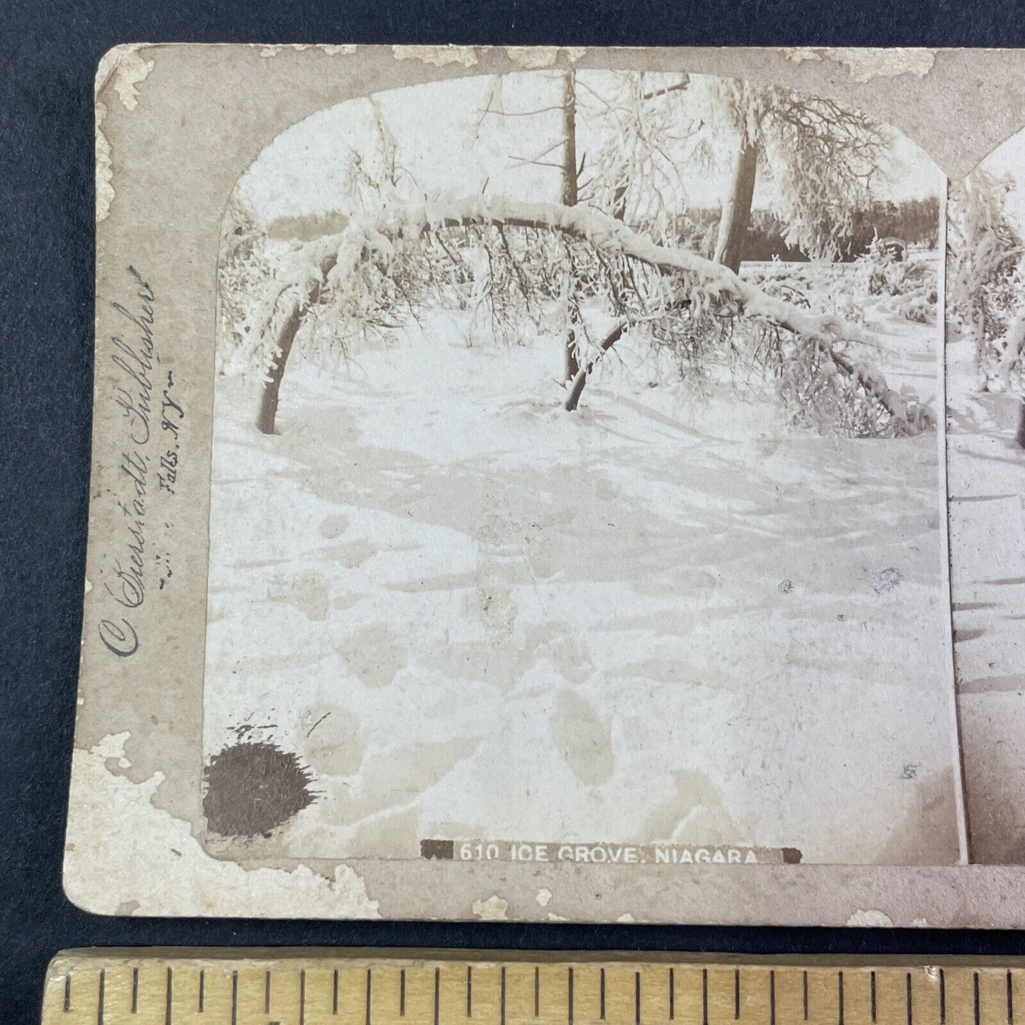 Frozen Ice Grove Luna Island Stereoview Charles Bierstadt Antique c1880 Y2758