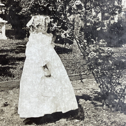 Antique 1890s Child Girl Smells Rose Bush Stereoview Photo Card P4359