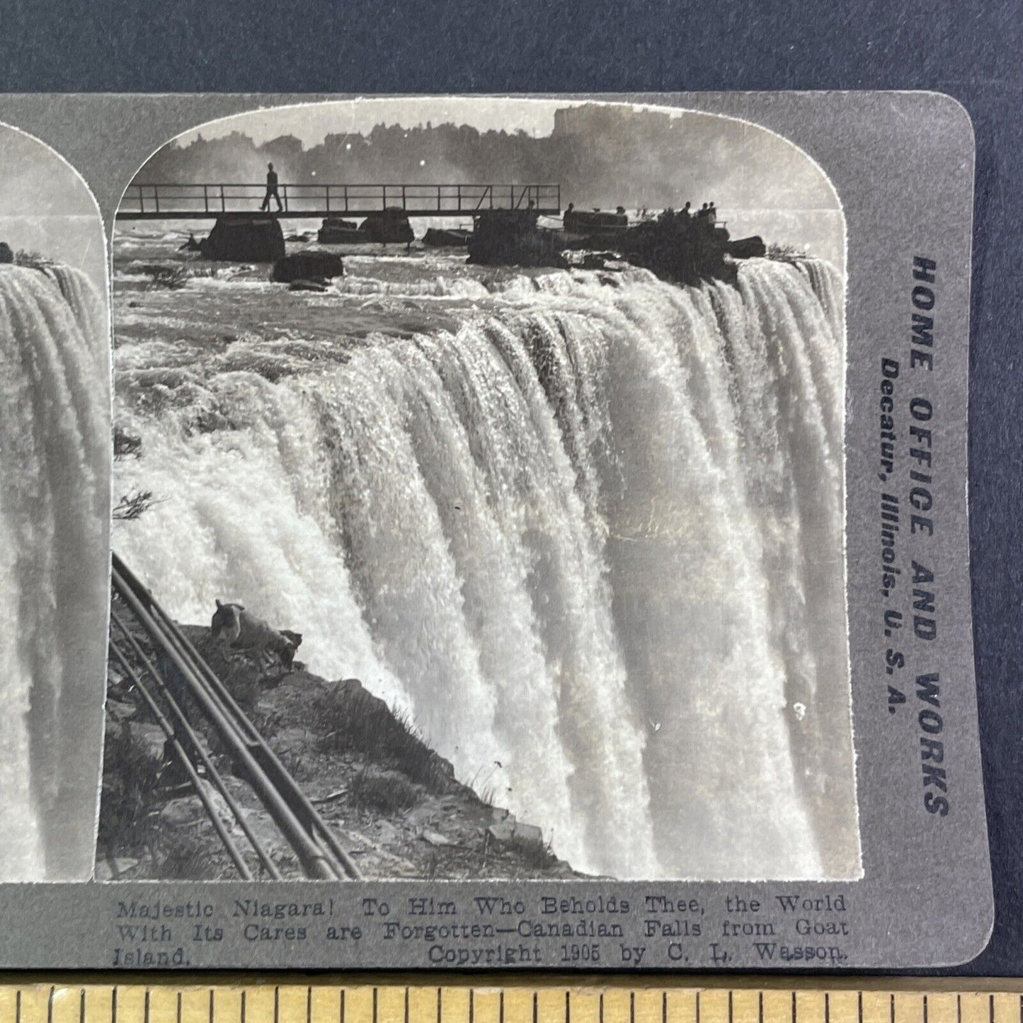 Dog at the Top Edge of Niagara Falls Stereoview C.L. Wasson Antique c1905 Y3005