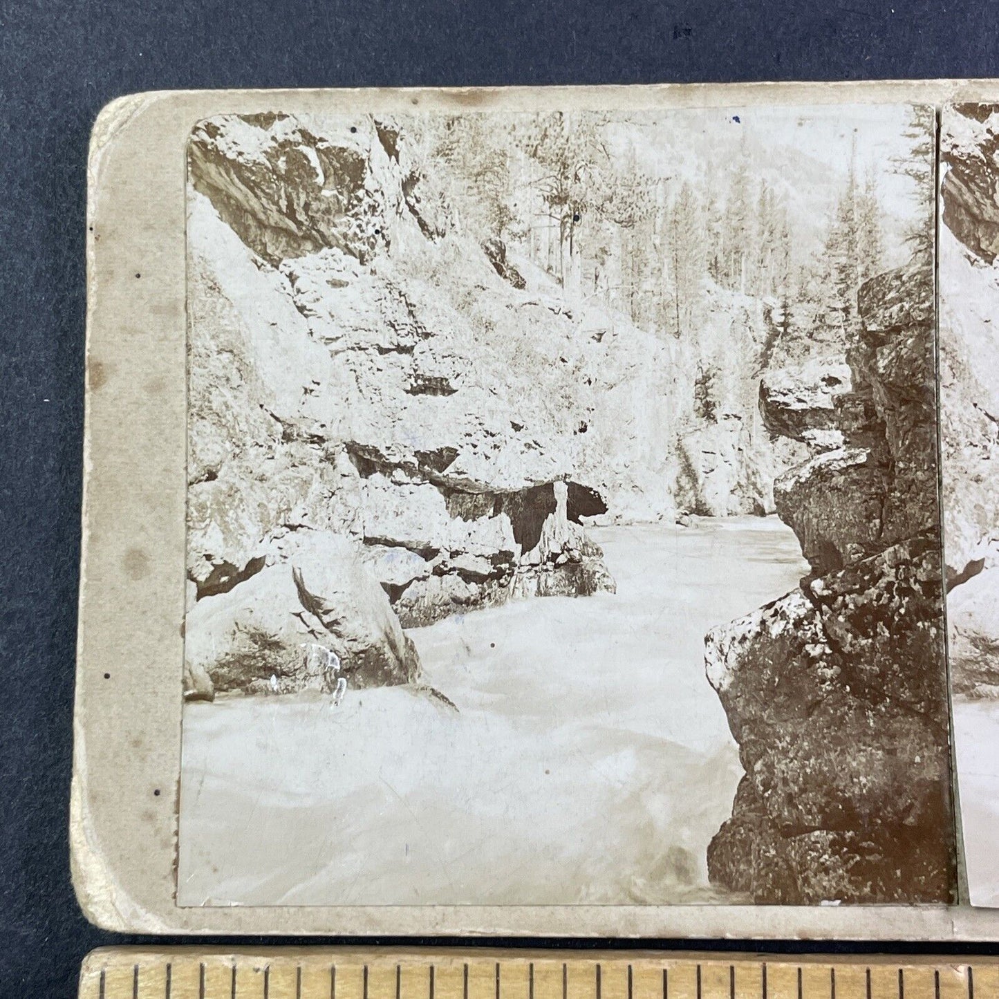 Kuragan River Valley Altai Russia Stereoview IR Tomashkevich Antique c1896 X2630