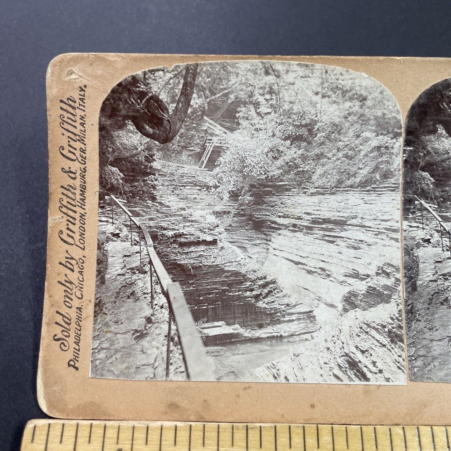 Antique 1880s Watkins Glen Gorge New York Stereoview Photo Card P3866