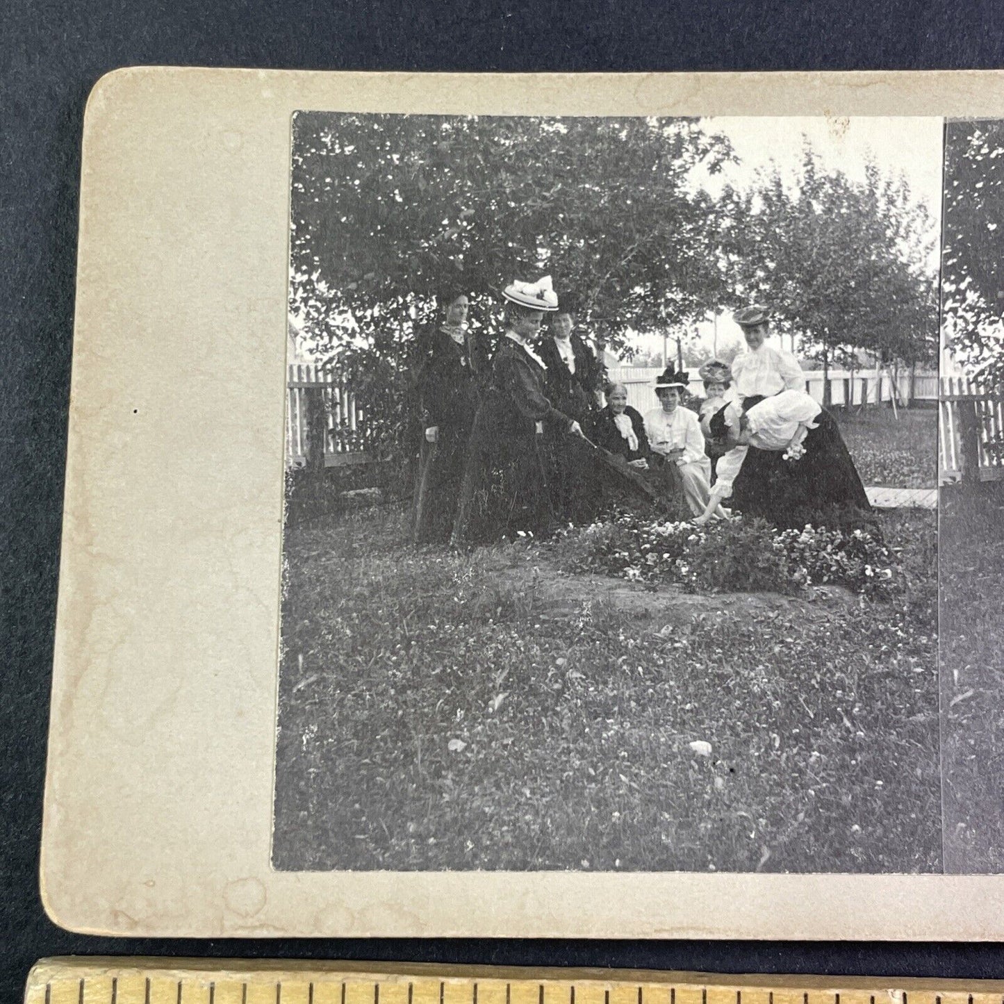 Lady Laura Borden Garden Photo Stereoview OOAK Antique c1908 Y2759