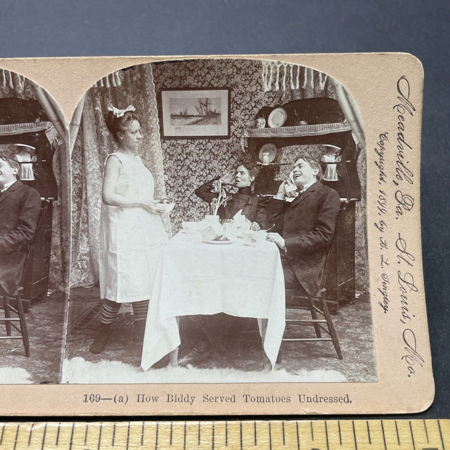 Antique 1899 Maid Serves Dinner In Her Underwear Stereoview Photo Card P2601