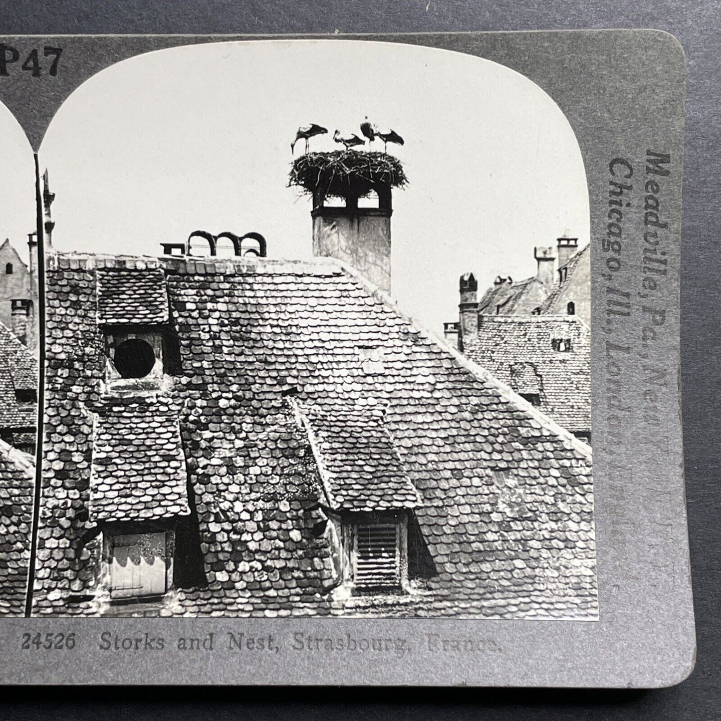 Antique 1913 Stork Nest On Chimney Strasbourg France Stereoview Photo Card P1322