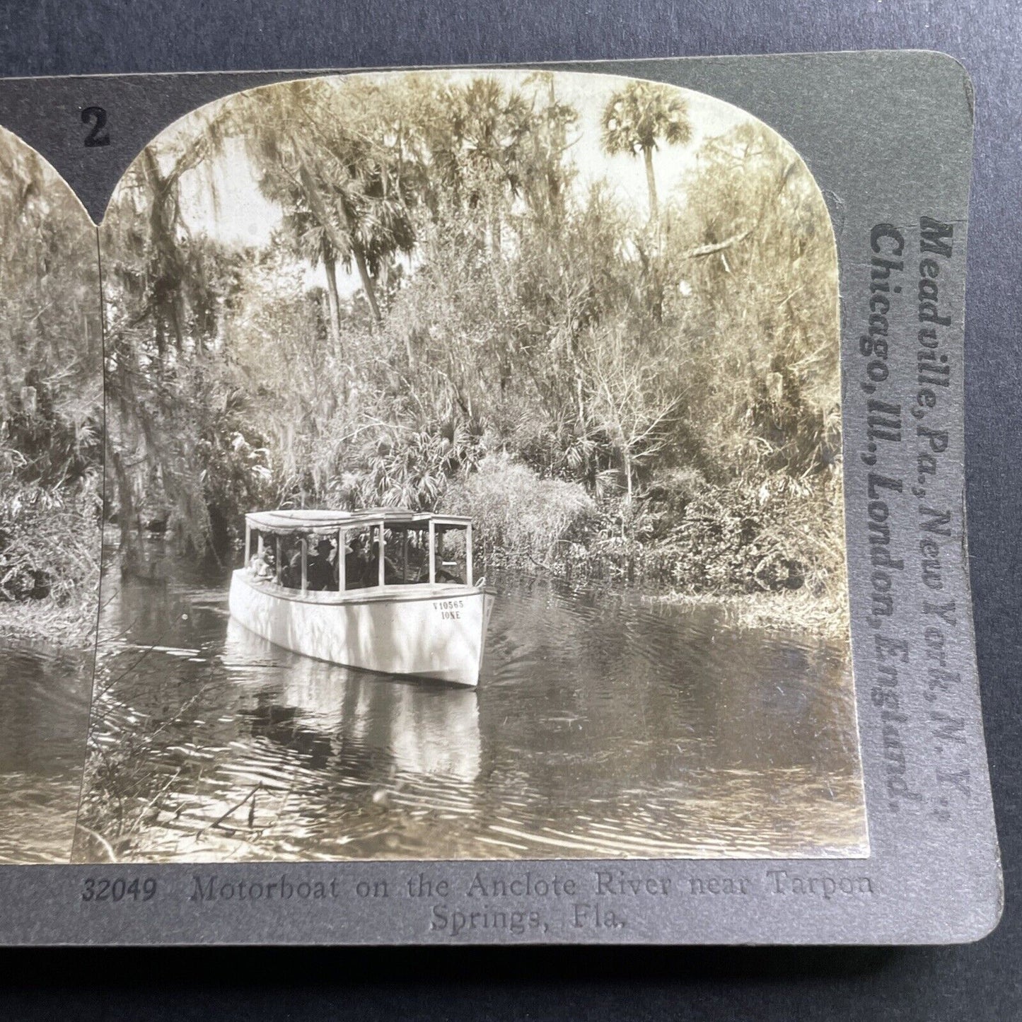 Antique 1920s Everglades Tour In Tarpon Springs FLA Stereoview Photo Card P1600