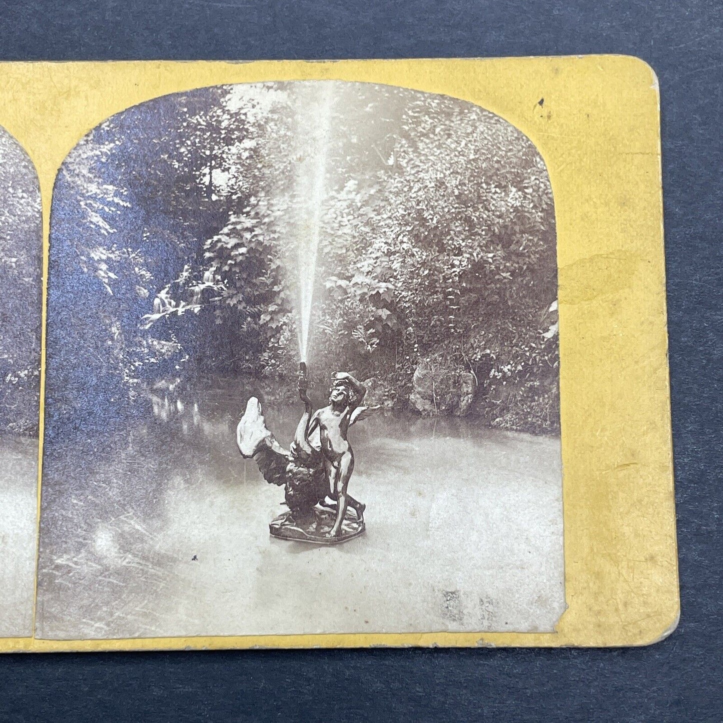 Antique 1860s Boy And Swan Pfaueninse Berlin Stereoview Photo Card P1150