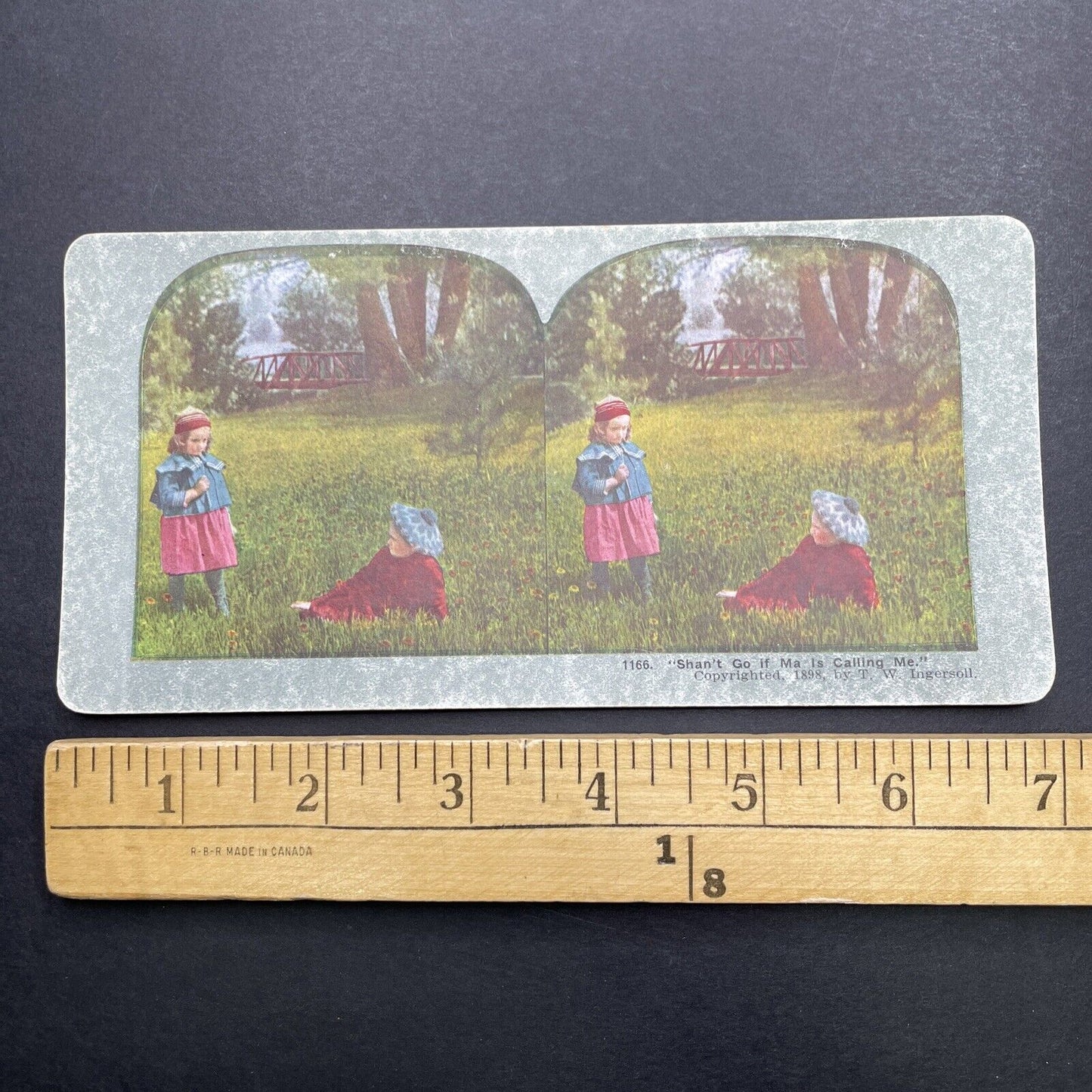 Antique 1898 Children Playing In The Grass Stereoview Photo Card P580-005