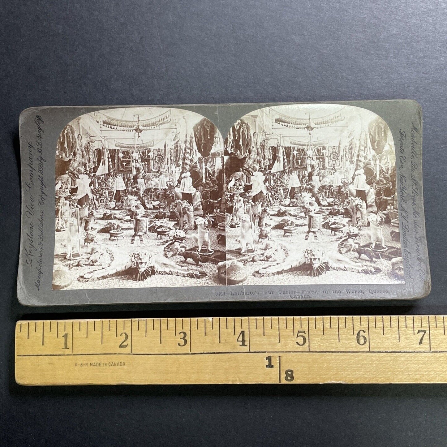 Antique 1899 Laliberte's Exotic Animal Fur Quebec Stereoview Photo Card P1455