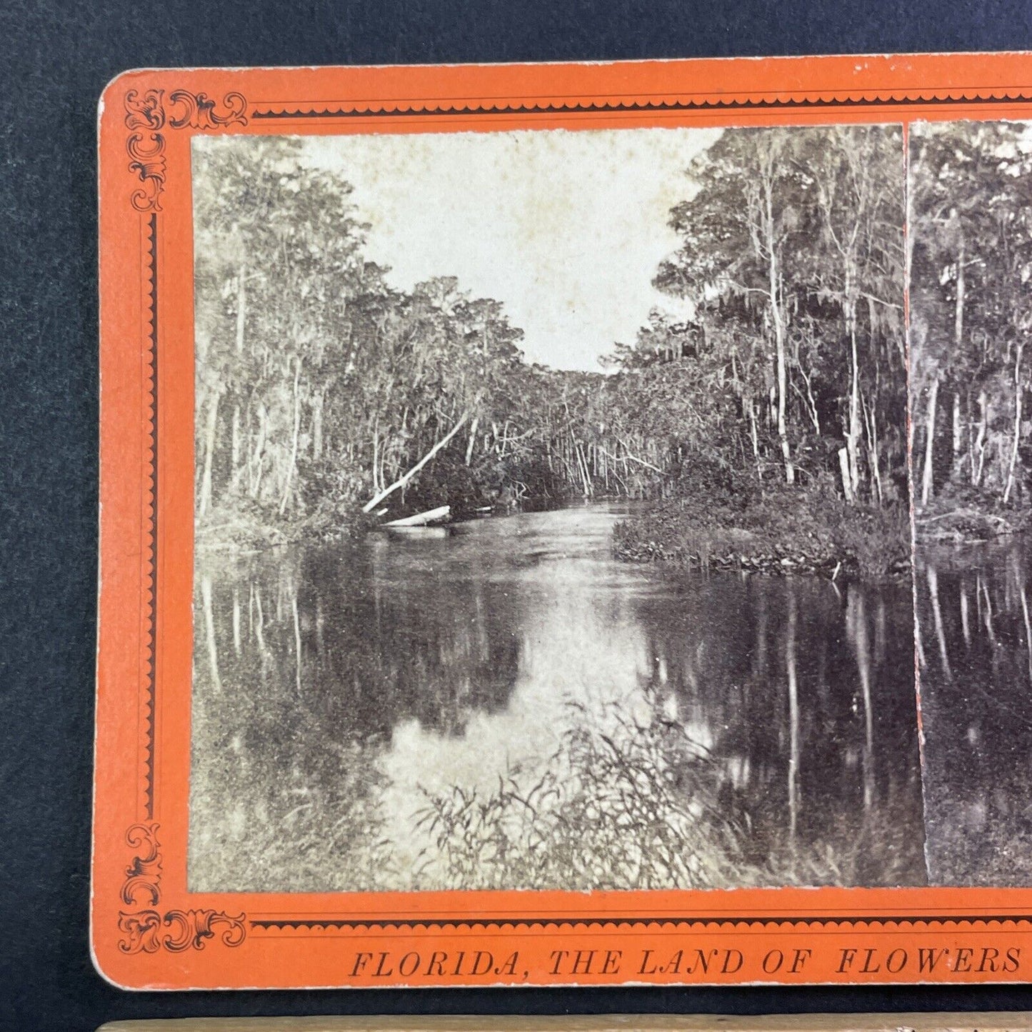 St. Johns River Devils Elbow Stereoview East Palatka Florida Antique c1870 Y065