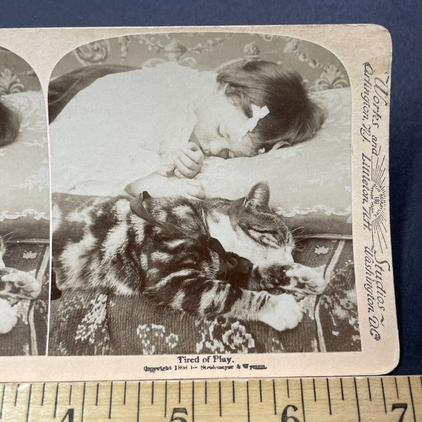 Antique 1896 Cats Sleeps Beside Sleeping Girl Stereoview Photo Card V3266