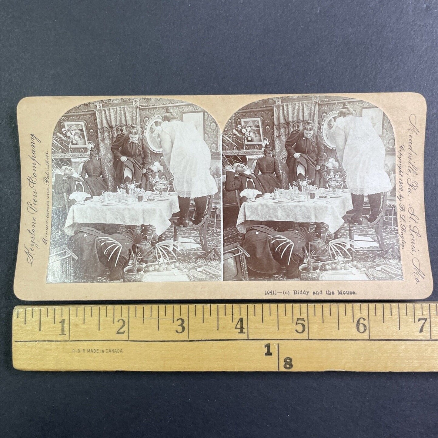 A Mouse Runs Across Dining Room Floor Stereoview Antique c1900 Y1225