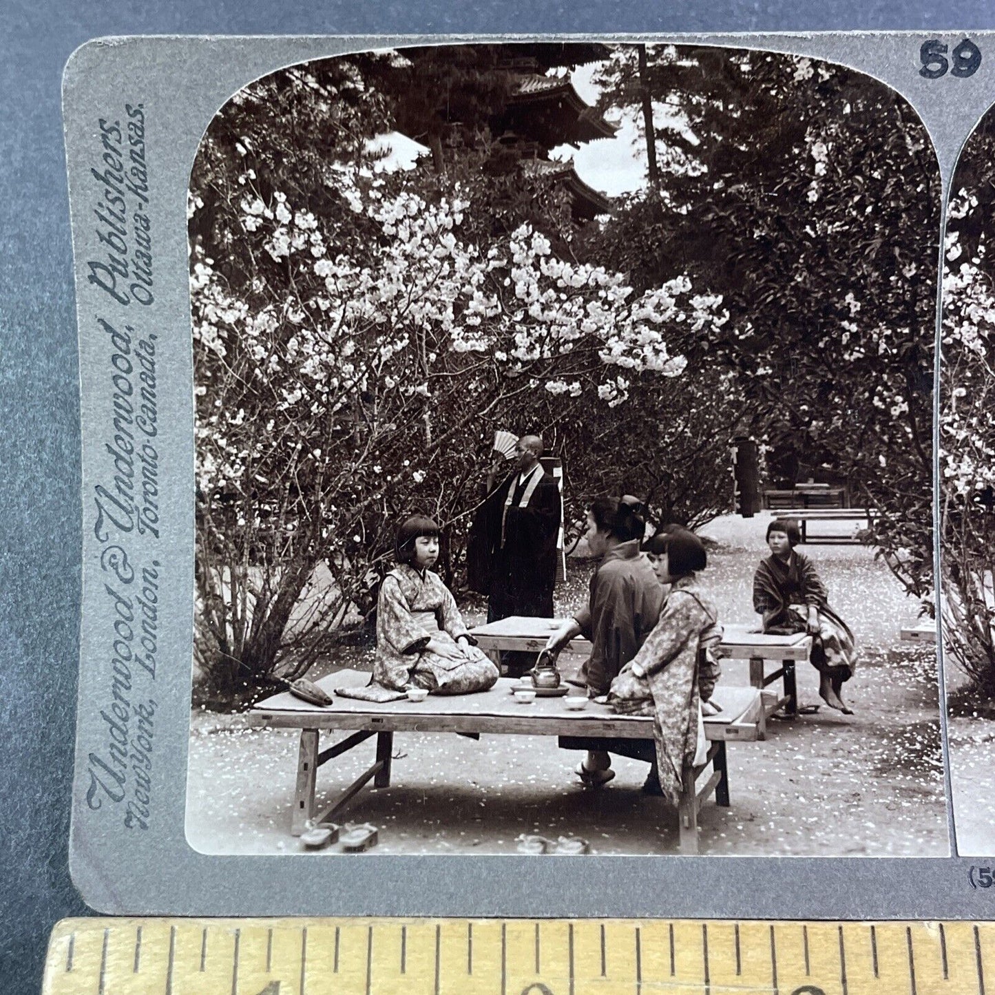 Tea Party under the Cherry Blossoms Stereoview Kyoto Japan Antique c1904 Y2788