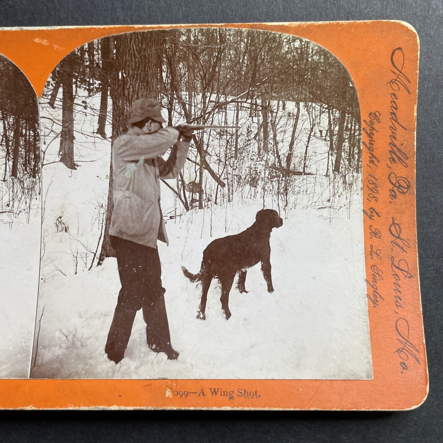 Antique 1898 Hunter And Hunting Dog Meadville Penn Stereoview Photo Card P1657