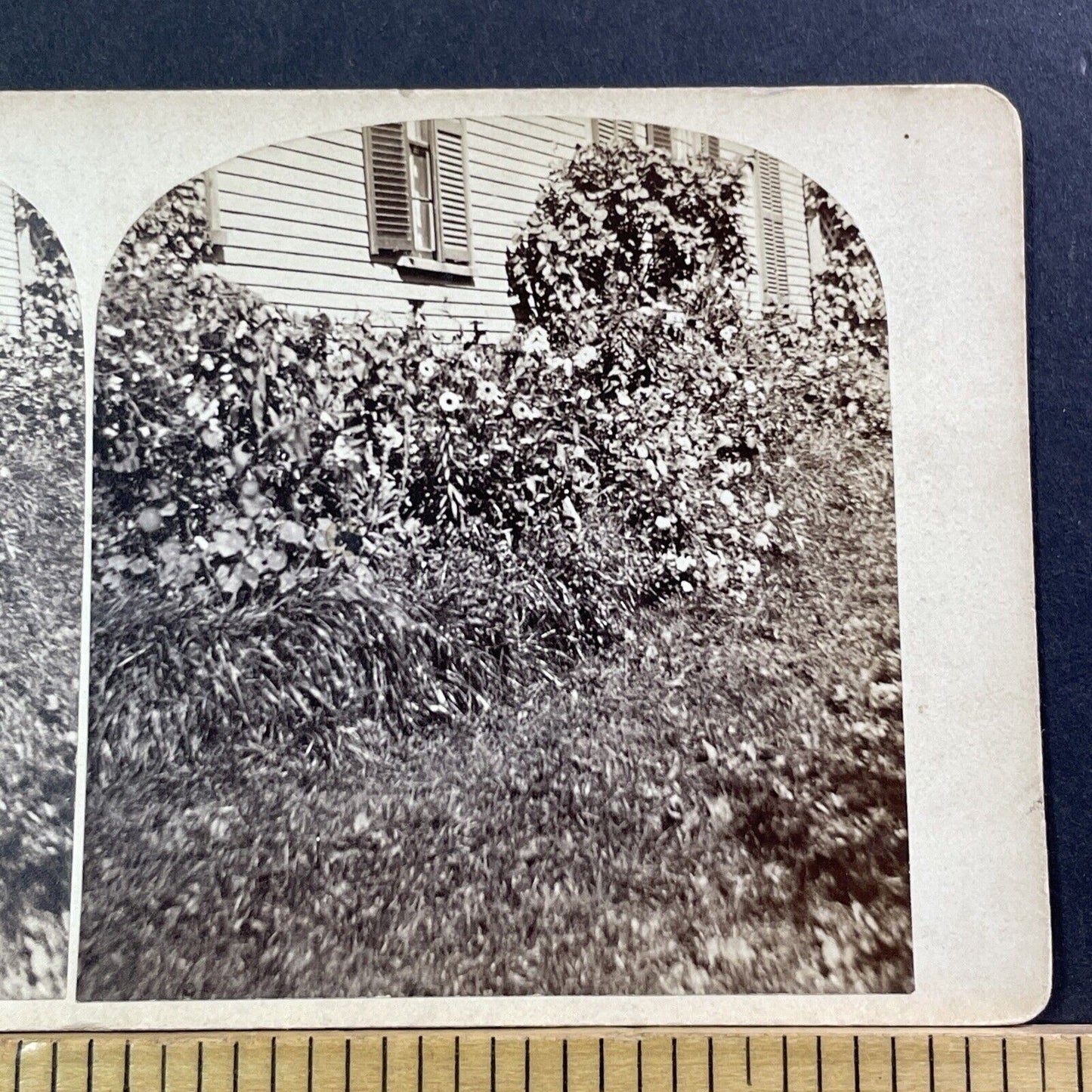 Manning House Garden Wolfeboro NH Stereoview ET Brigham Antique c1875 X1206