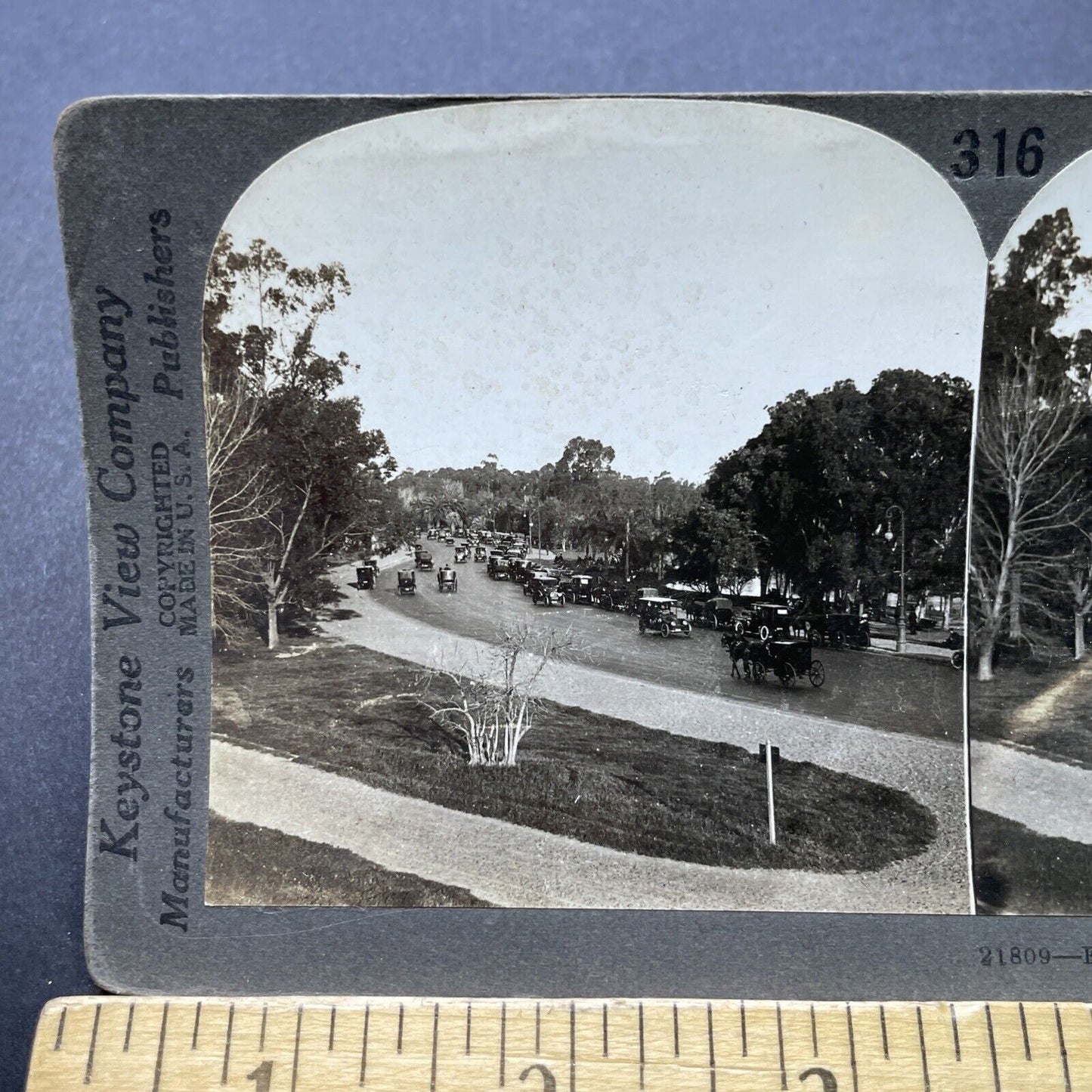 Antique 1920s Buenos Aires Argentina Palermo Park Stereoview Photo Card P2498