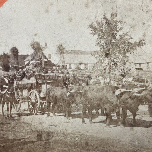 Antique 1878 'The Freak Wagon' Marlow Town Fair NH Stereoview Photo Card V2057