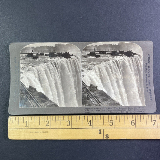 Dog at the Top Edge of Niagara Falls Stereoview C.L. Wasson Antique c1905 Y3005