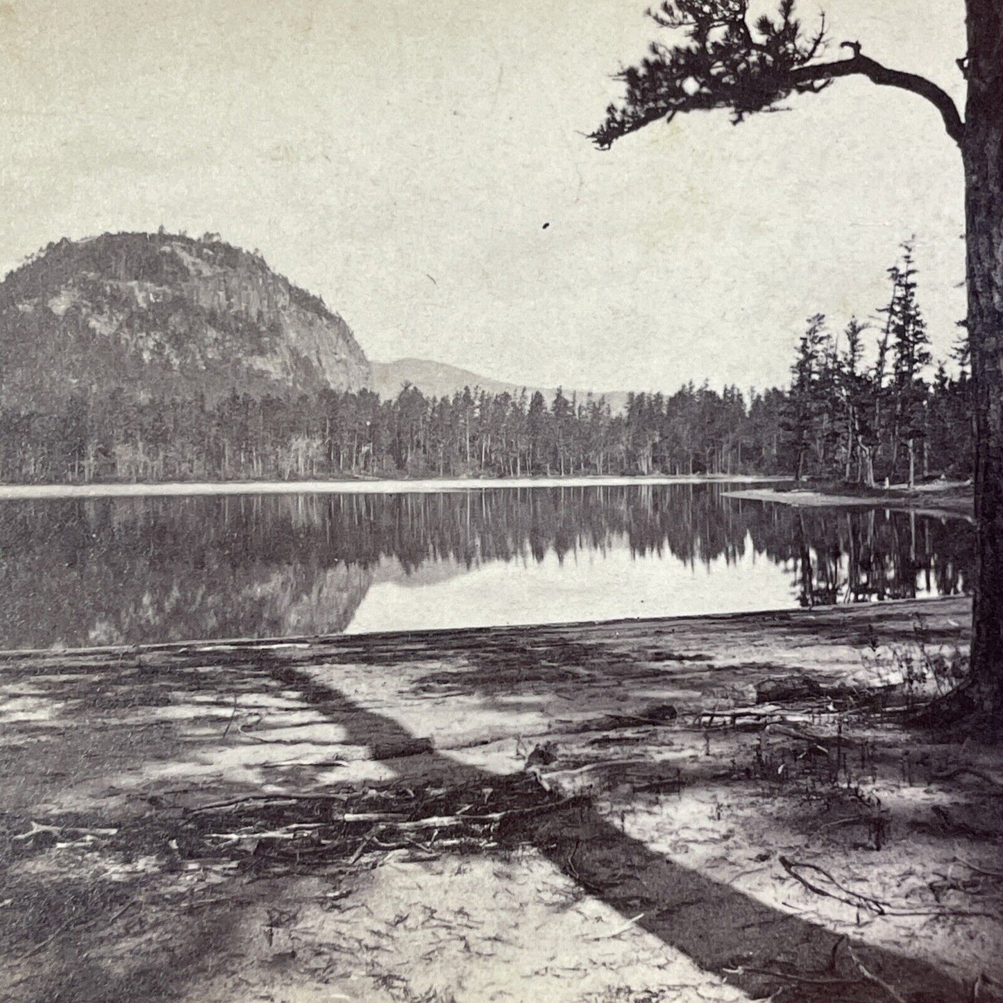 Echo Lake North Conway New Hampshire Stereoview N.W. Pease c1870s Y179