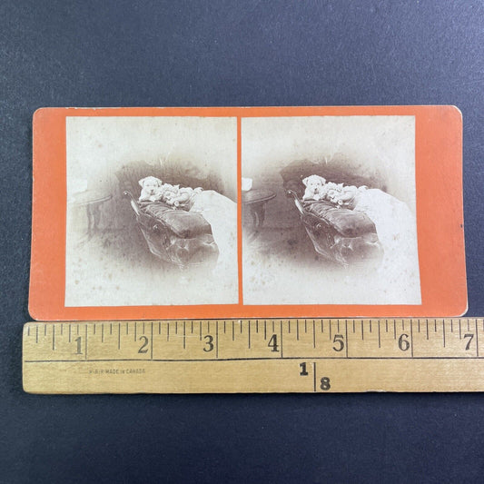 A Baby Laying Beside A Shaggy Dog Stereoview Photo Card Antique c1865 X1550