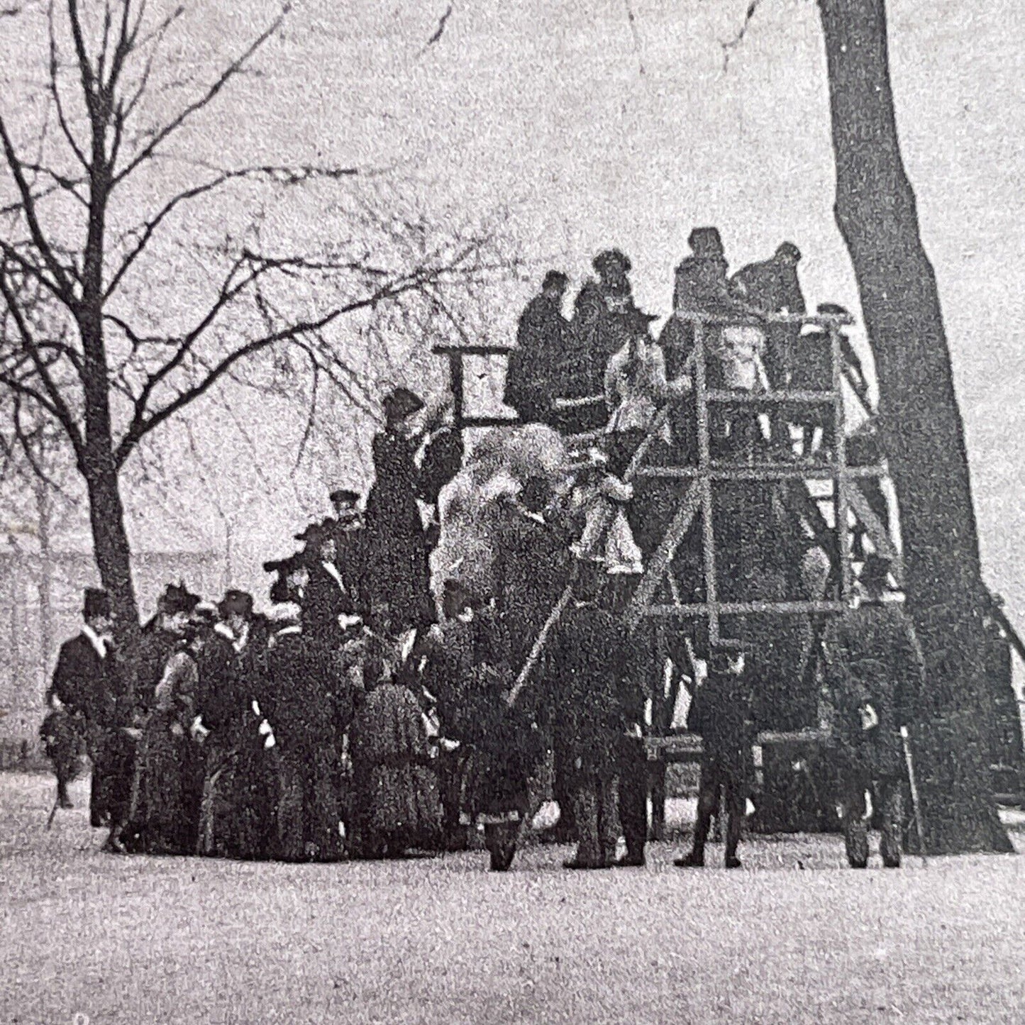 Antique 1880s Elephant Rides At The London Zoo Stereoview Photo Card P1681