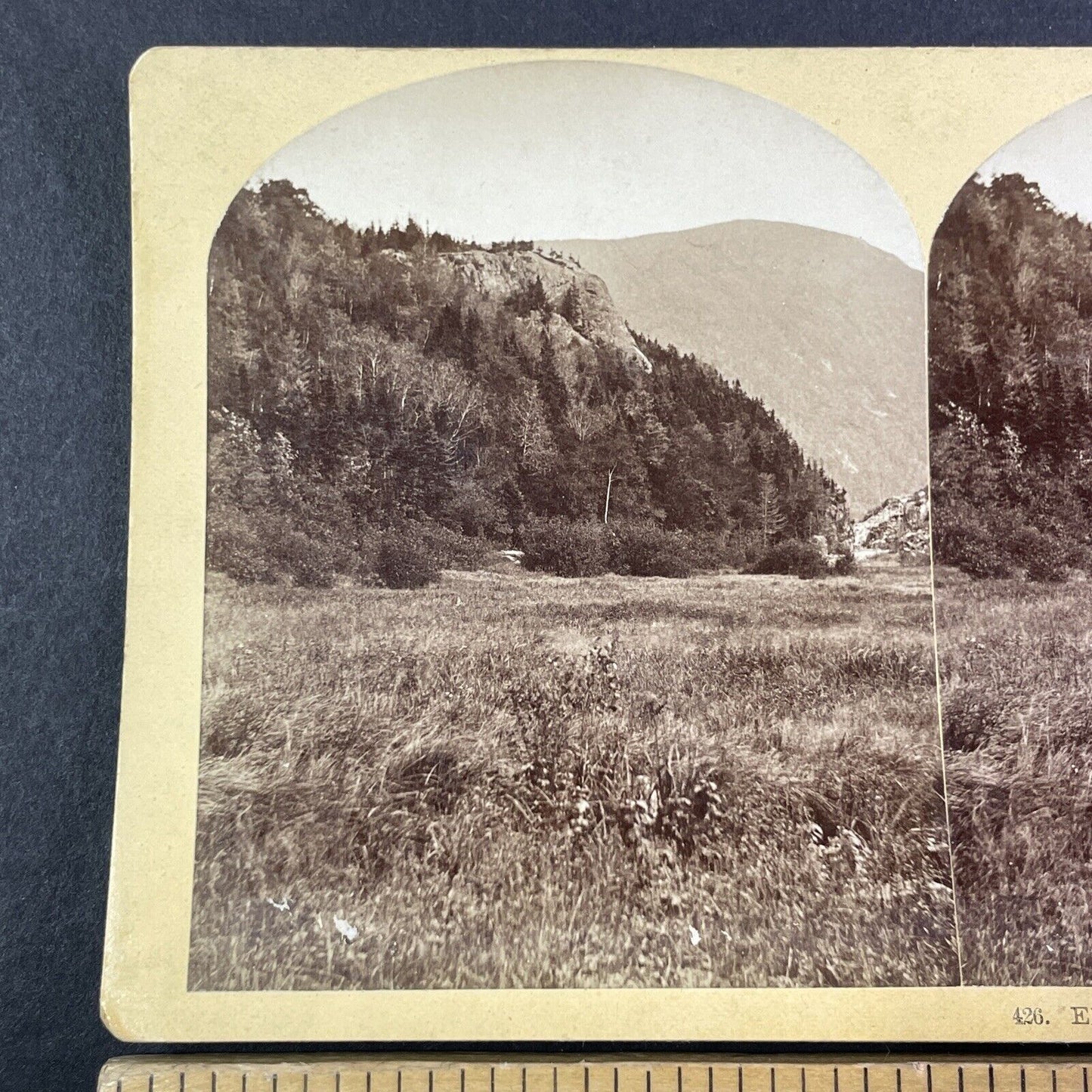 Elephant's Head New Hampshire Stereoview Near Crawford House Antique c1875 Y1479