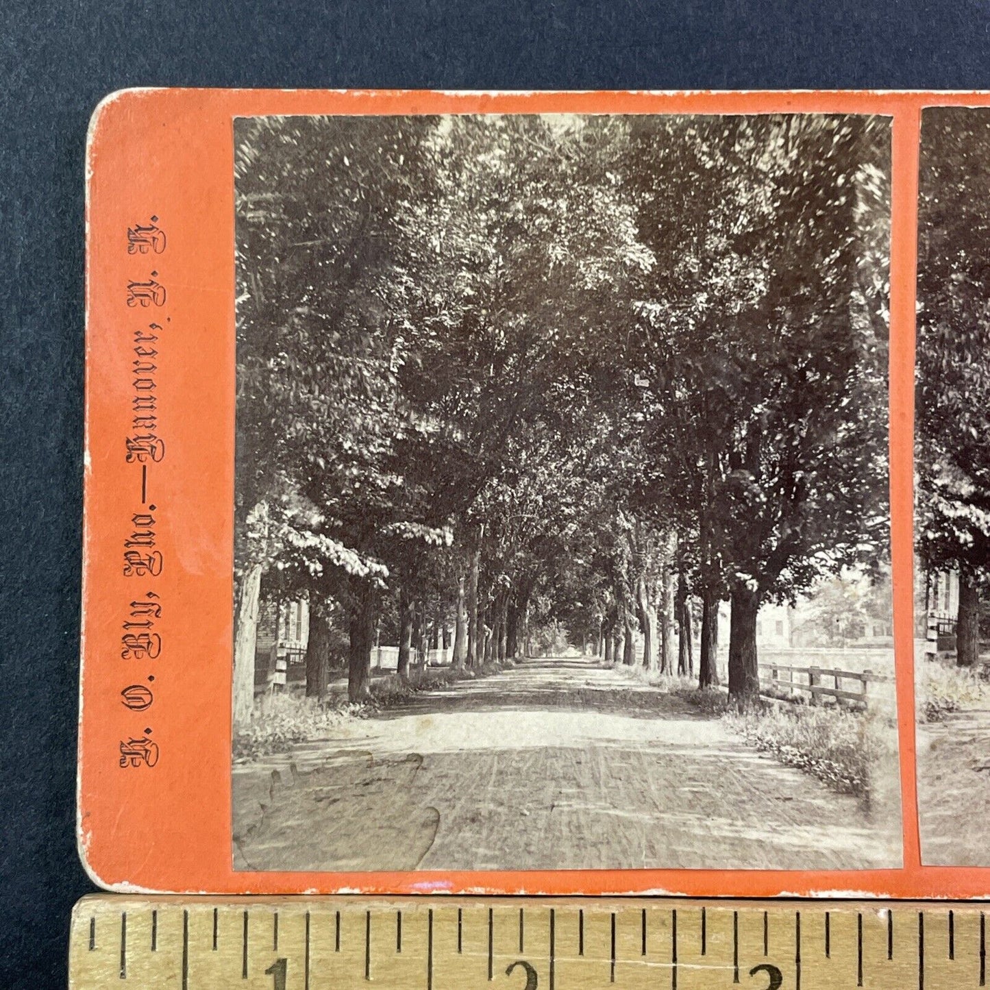 Dartmouth University Laneway Stereoview Hanover NH Photo Card Antique c1870 X938