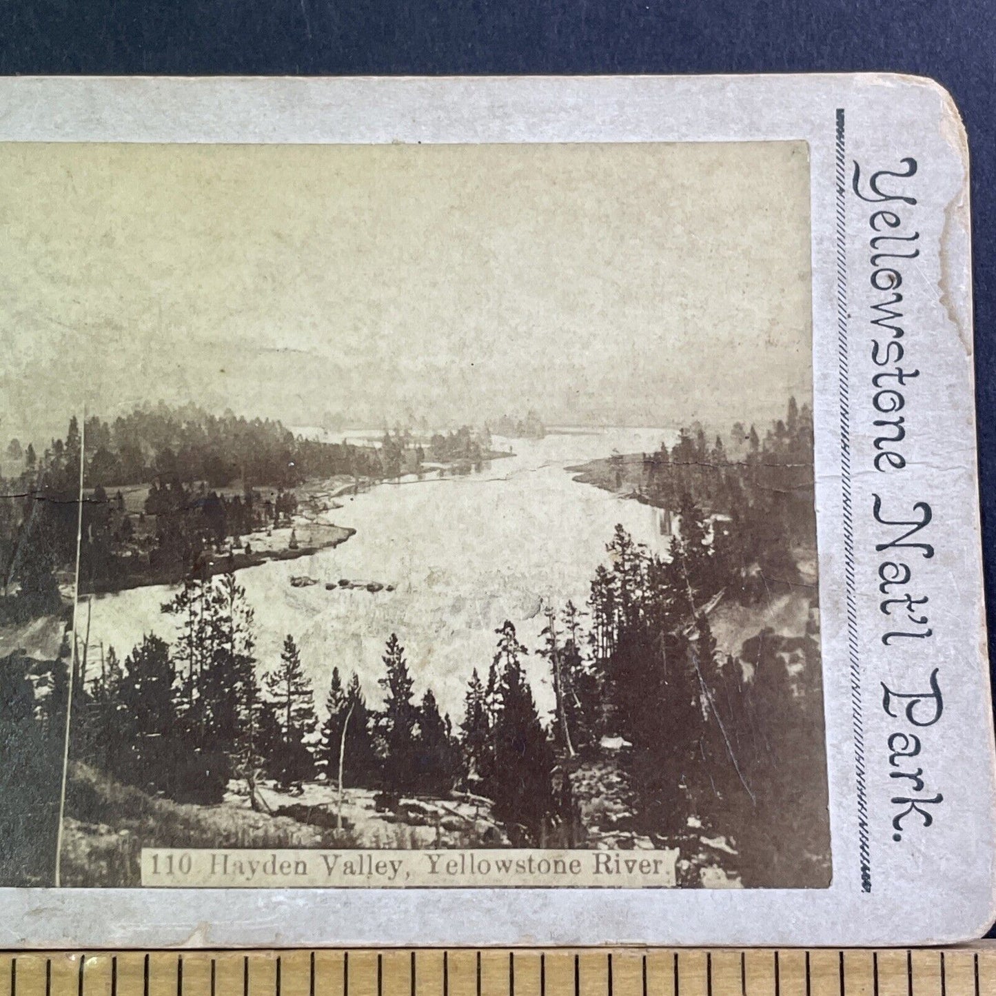 Hayden Valley Yellowstone River Park Stereoview Wyoming Antique c1875 X2466