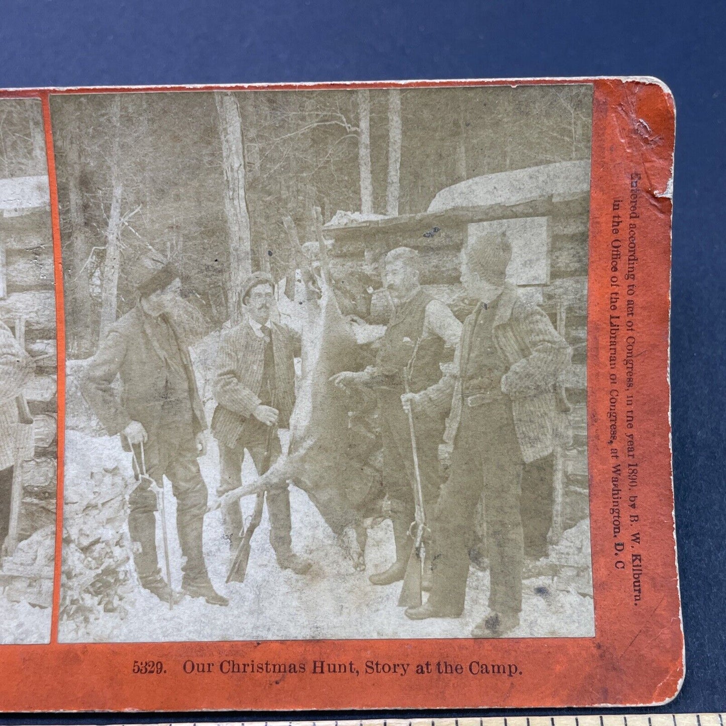 Antique 1890 Deer Hunting Littleton New Hampshire Stereoview Photo Card P2624