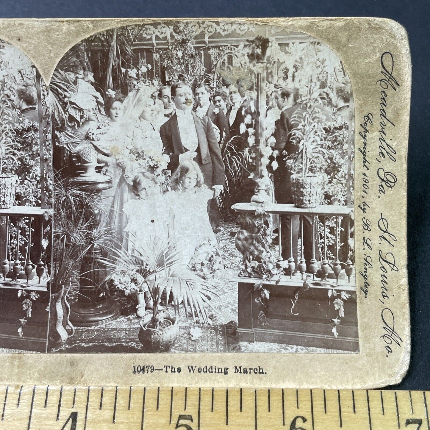 Antique 1901 Victorian Bride & Groom & Flower Girls Stereoview Photo Card P2961