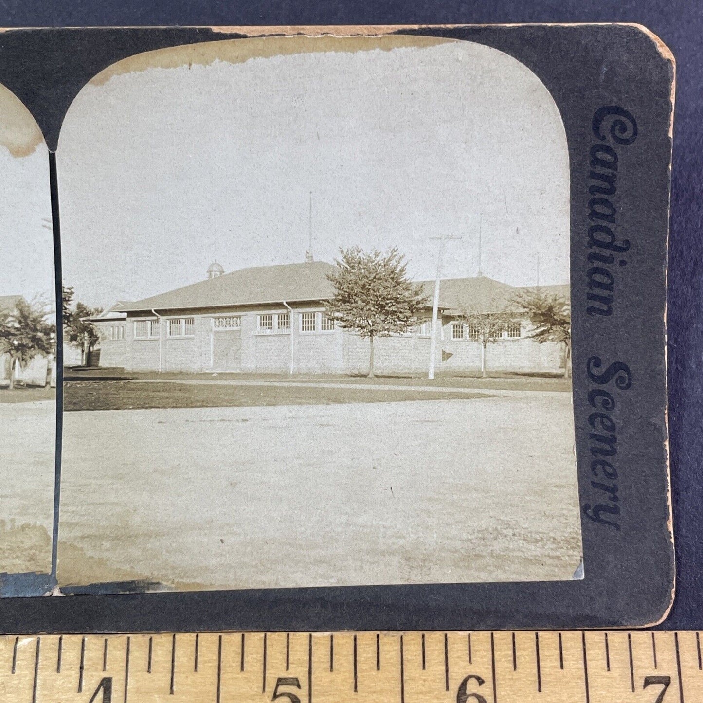 Toronto Dairy Building Stereoview Ontario Canada Antique c1901 Y2791